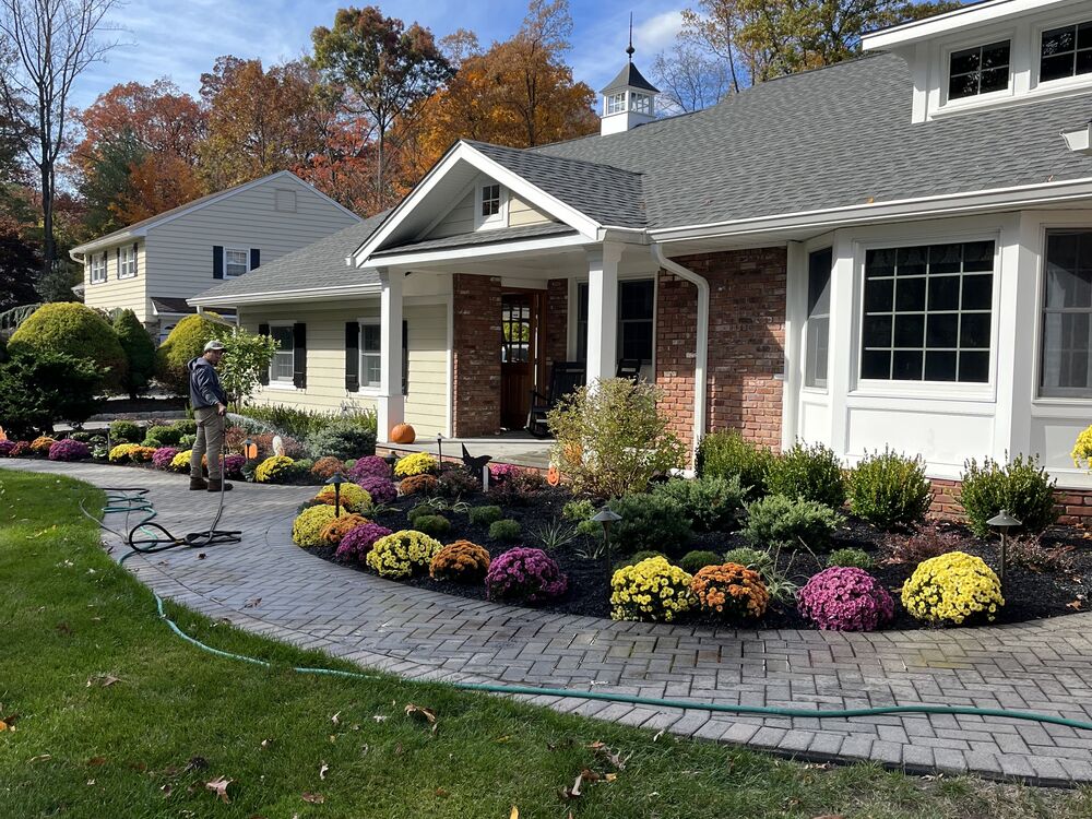 Curved paver walkway with fall mums planting bed