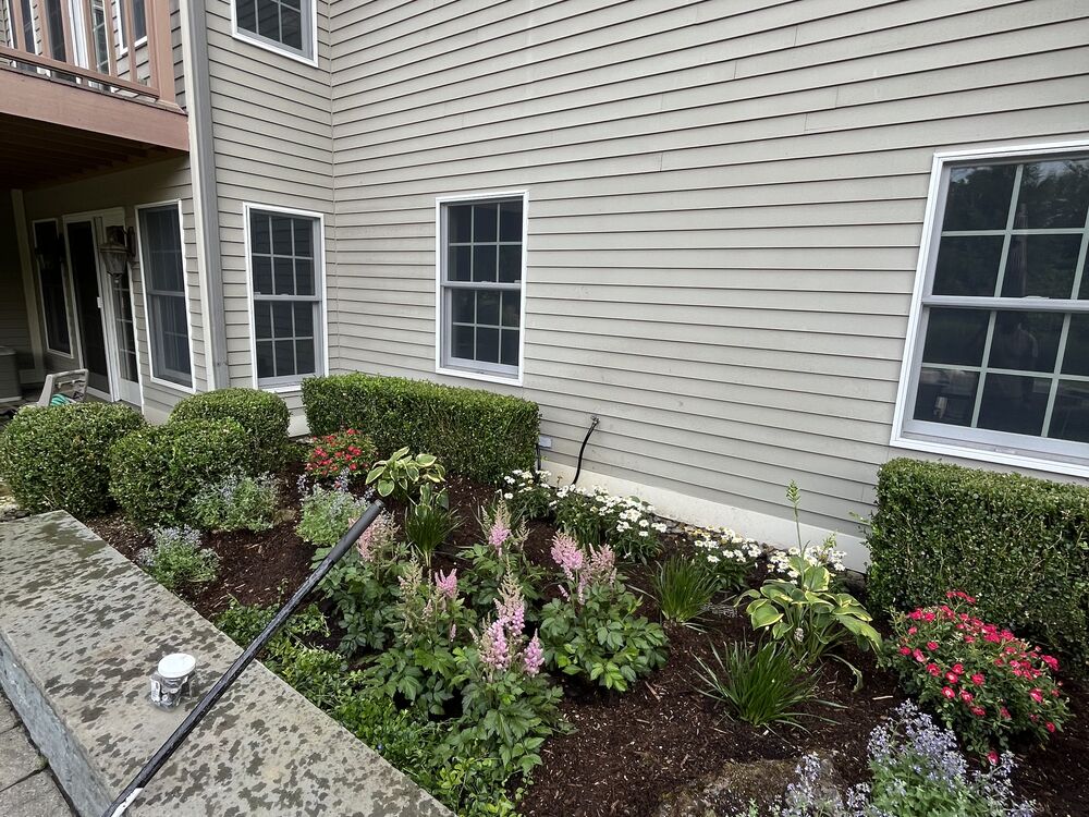 Perennial border with astilbe, roses, and hostas along a home's foundation
