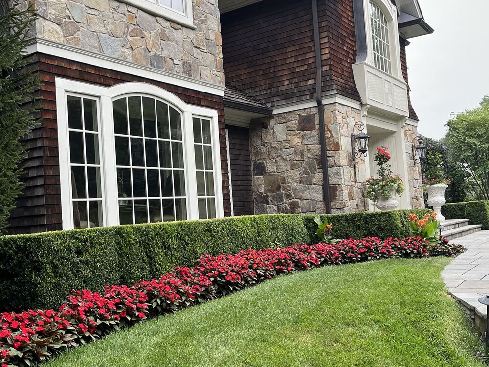 Boxwood hedge and red annual flower border along a stone-and-shingle home
