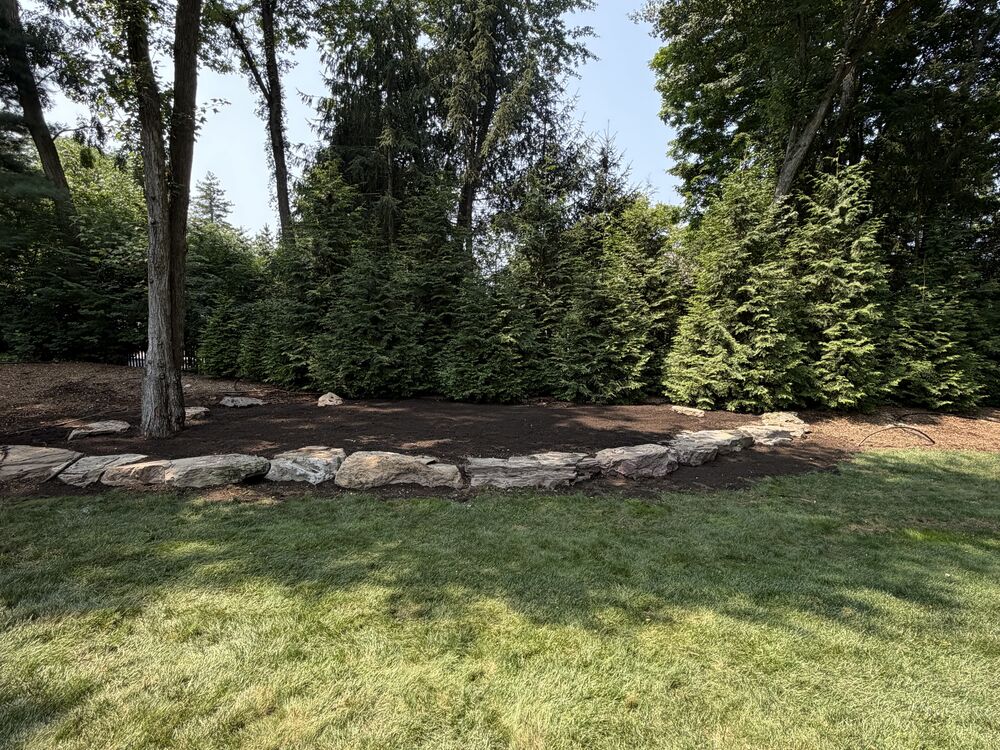 Evergreen privacy planting with natural boulder edging